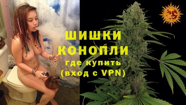 трава Аркадак